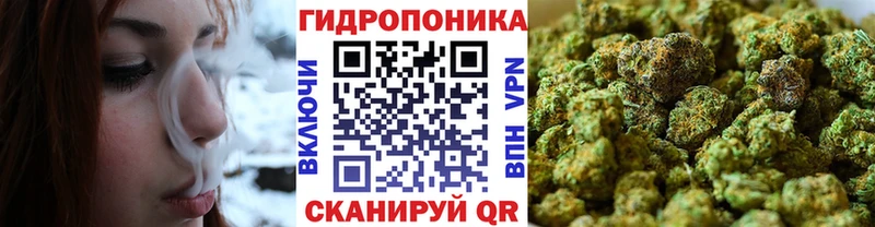магазин продажи наркотиков Балей Марихуана MAZAR